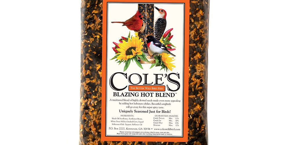 Blazing Hot Blend